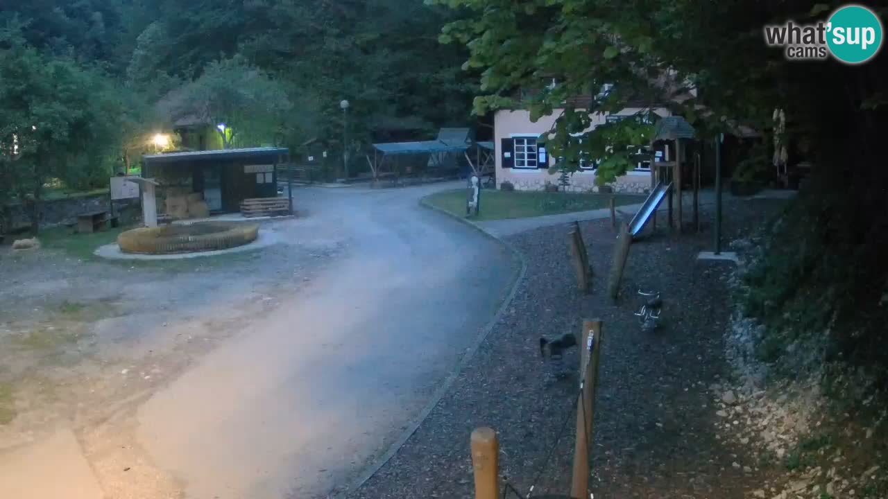 Skrad webcam Zeleni Vir