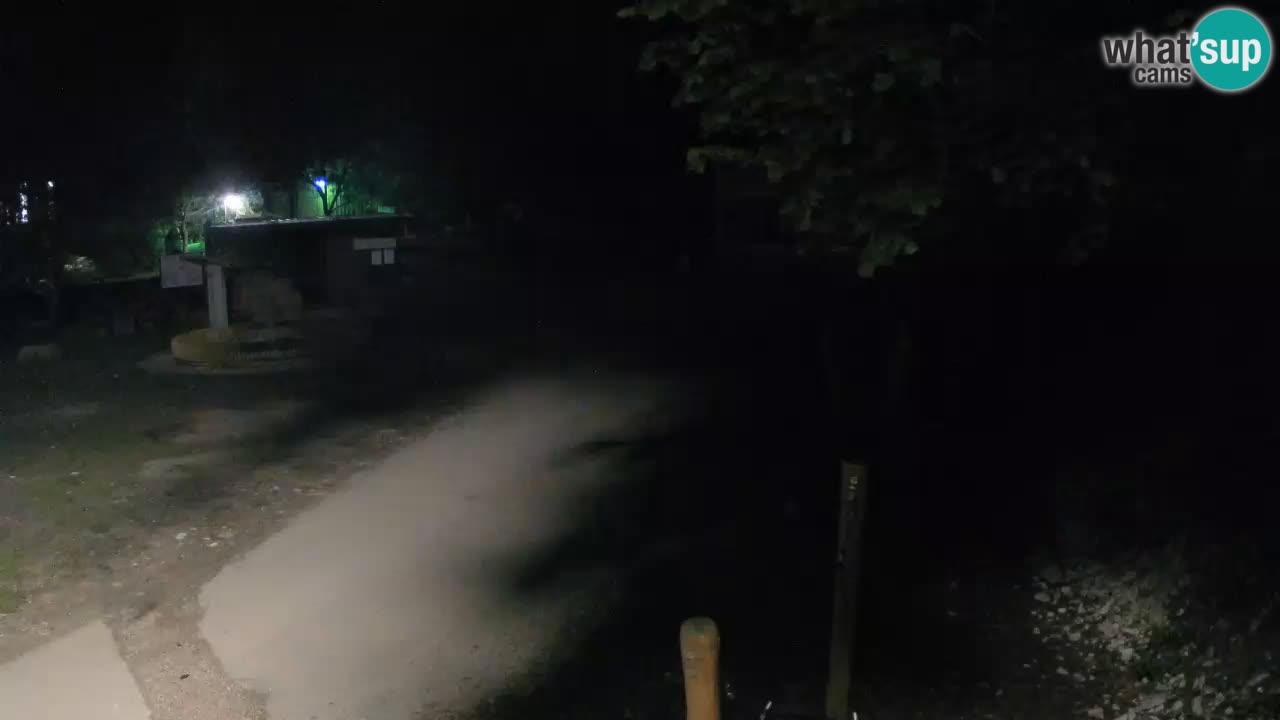 Skrad livecam Zeleni Vir