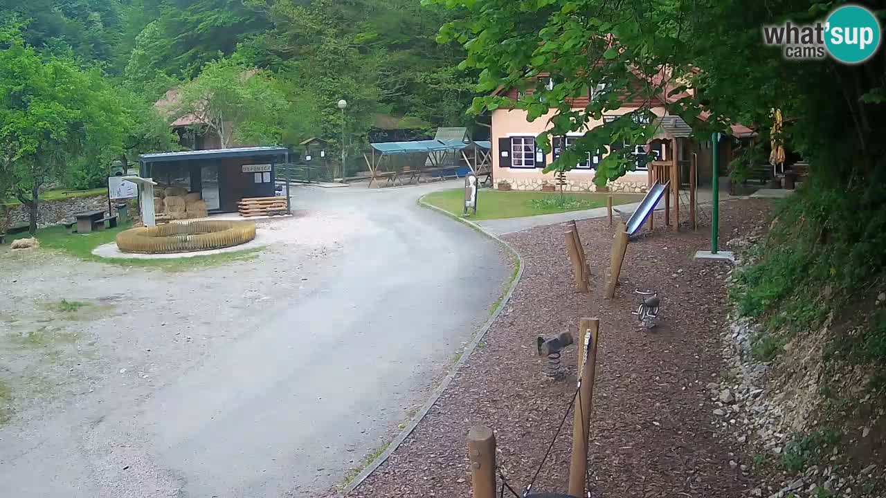 Skrad webcam Zeleni Vir