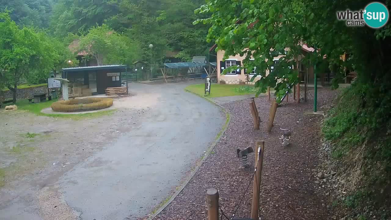 Skrad webcam Zeleni Vir