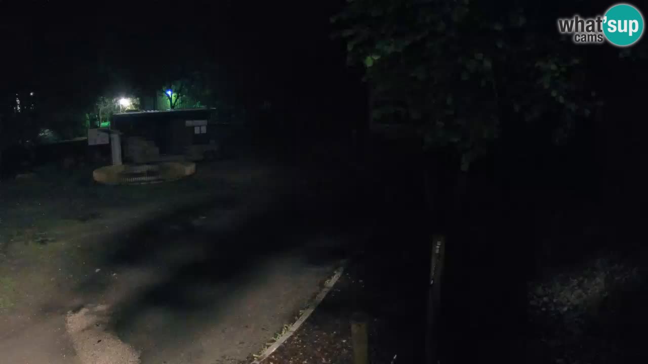 Skrad webcam Zeleni Vir