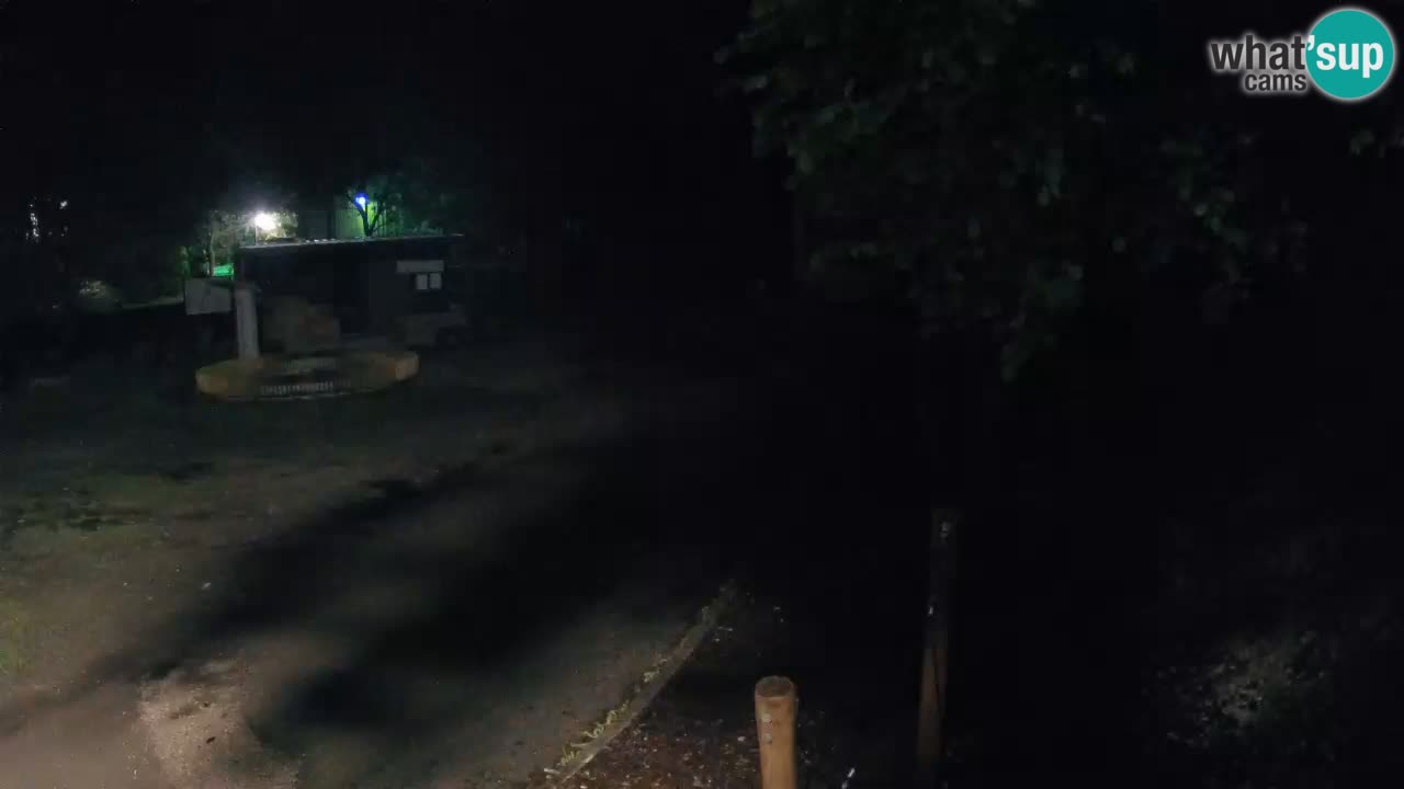 Skrad webcam Zeleni Vir