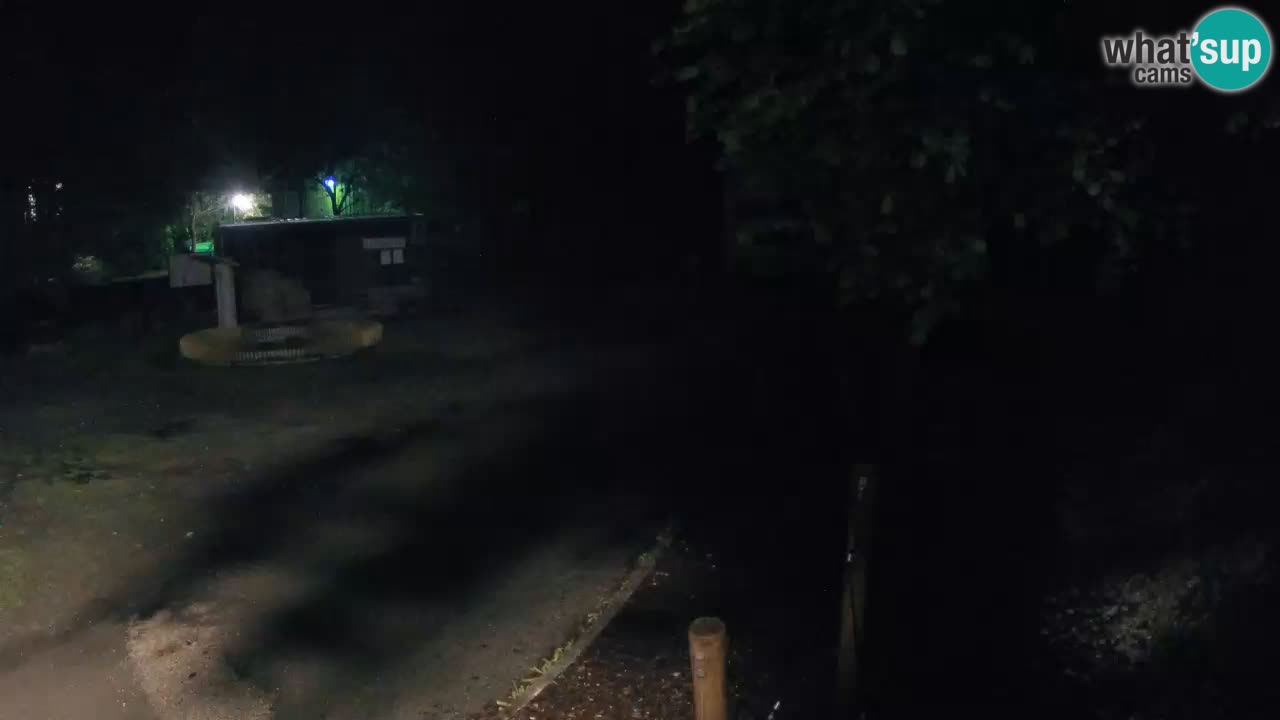 Skrad webcam Zeleni Vir