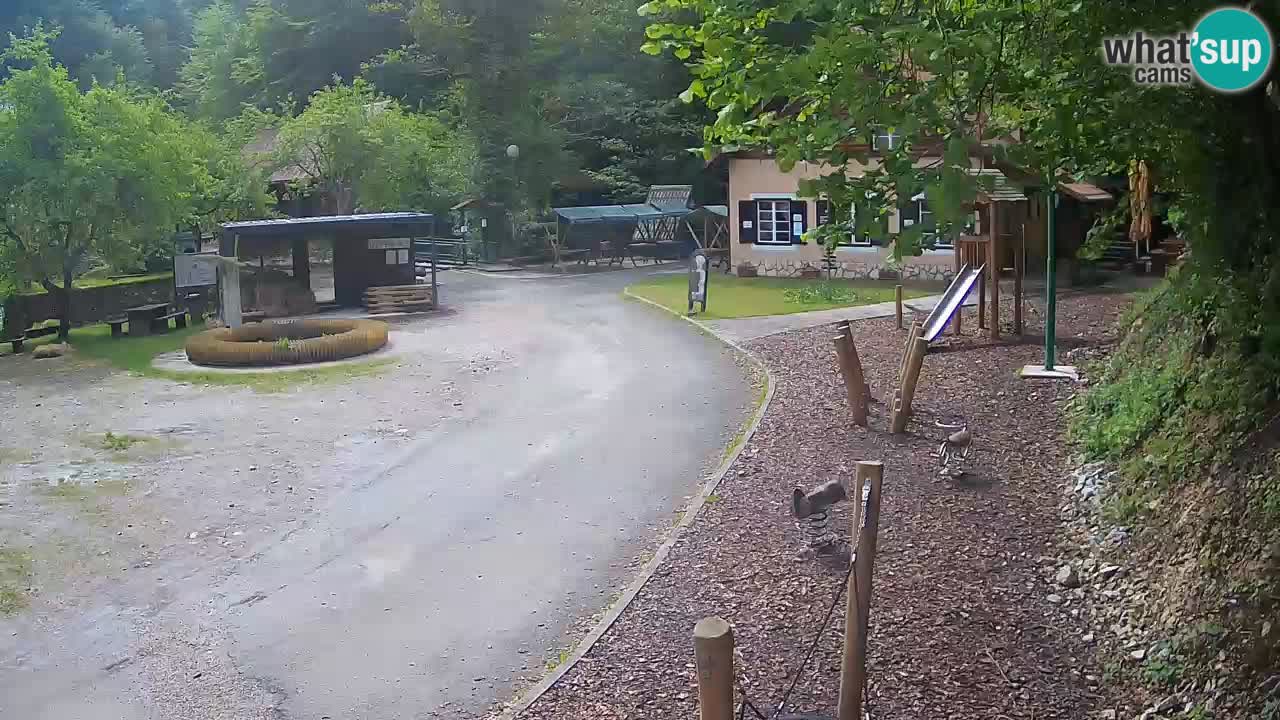 Skrad livecam Zeleni Vir