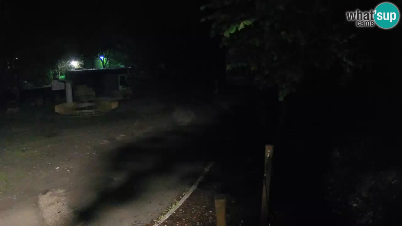 Skrad web kamera Zeleni Vir