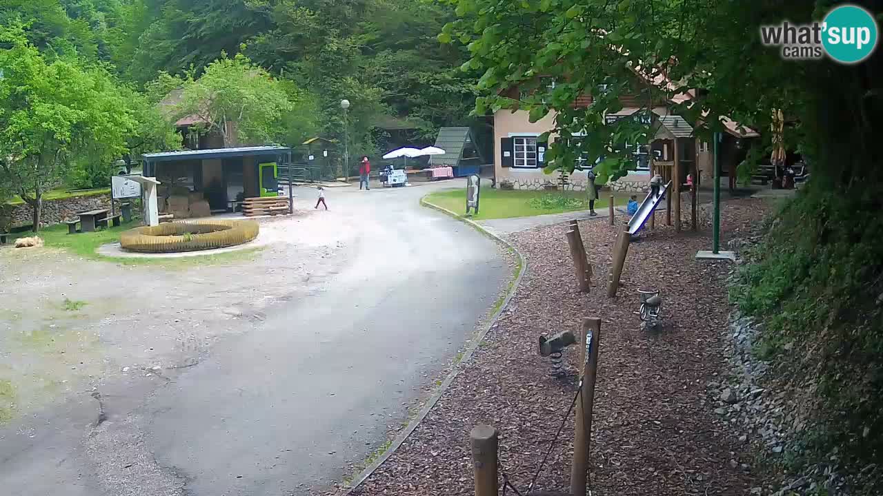 Skrad webcam Zeleni Vir