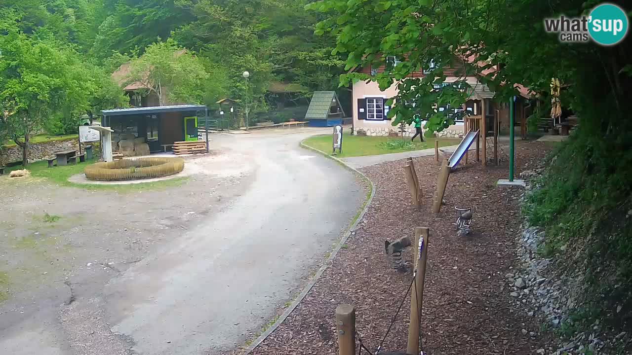 Skrad livecam Zeleni Vir