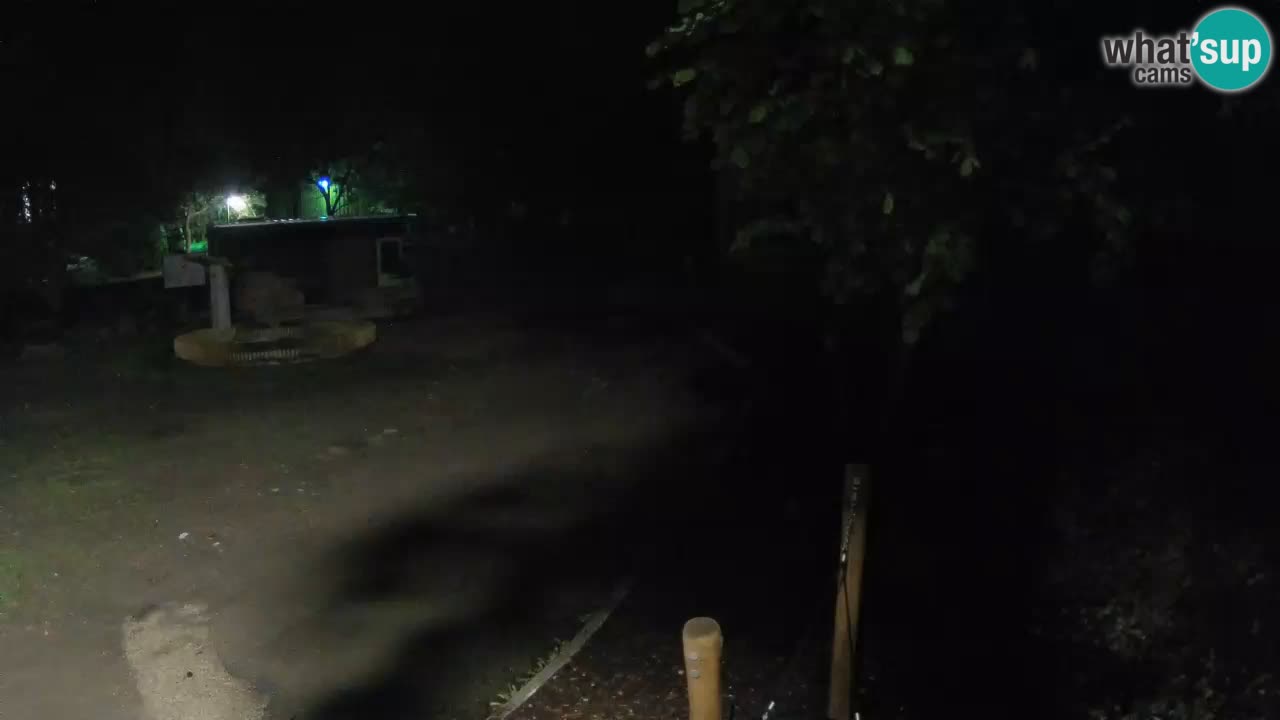 Skrad webcam Zeleni Vir