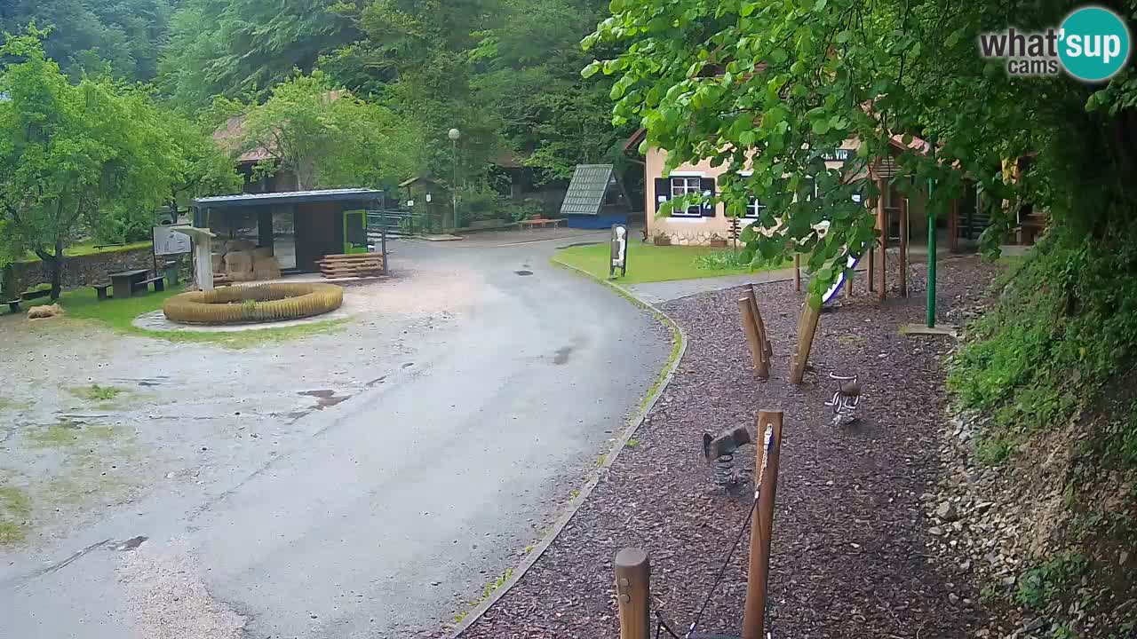 Skrad livecam Zeleni Vir