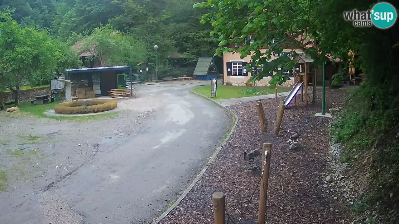 Skrad Livecam Zeleni Vir