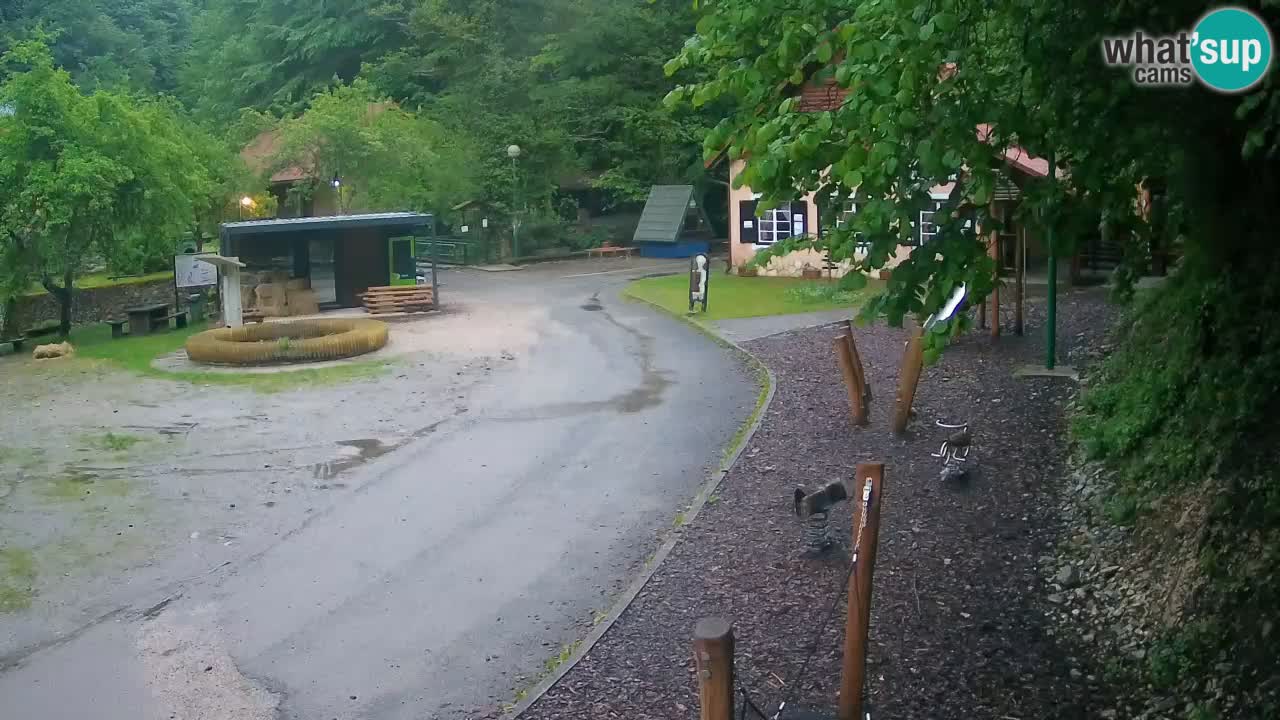 Skrad livecam Zeleni Vir