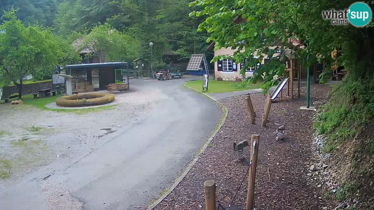 Skrad livecam Zeleni Vir