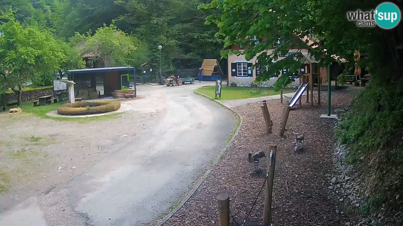 Skrad livecam Zeleni Vir