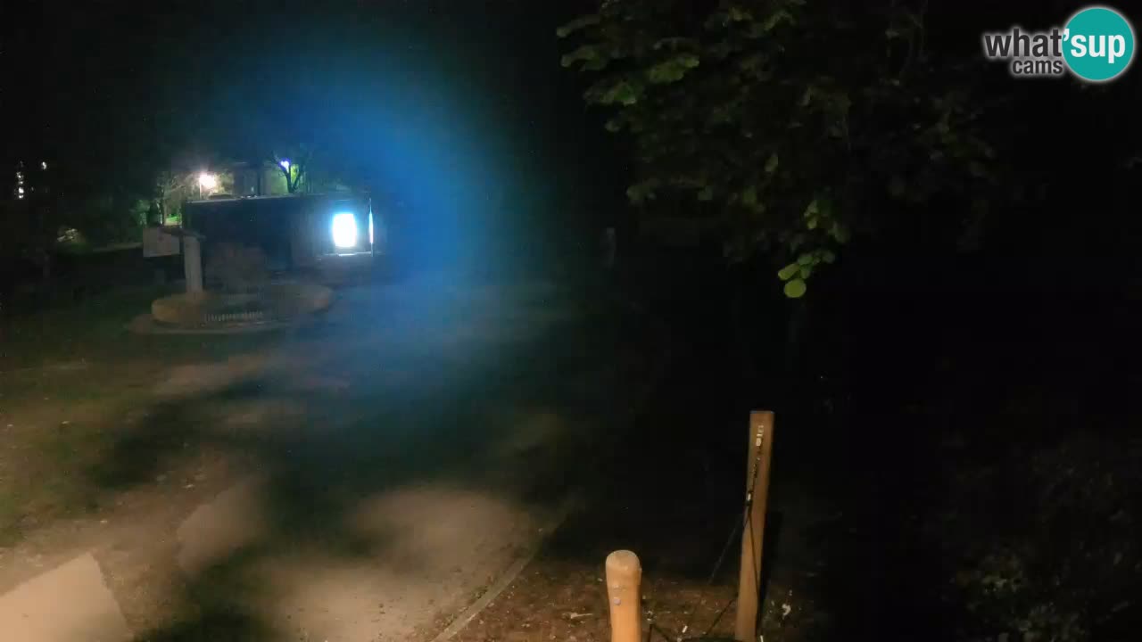 Skrad webcam Zeleni Vir