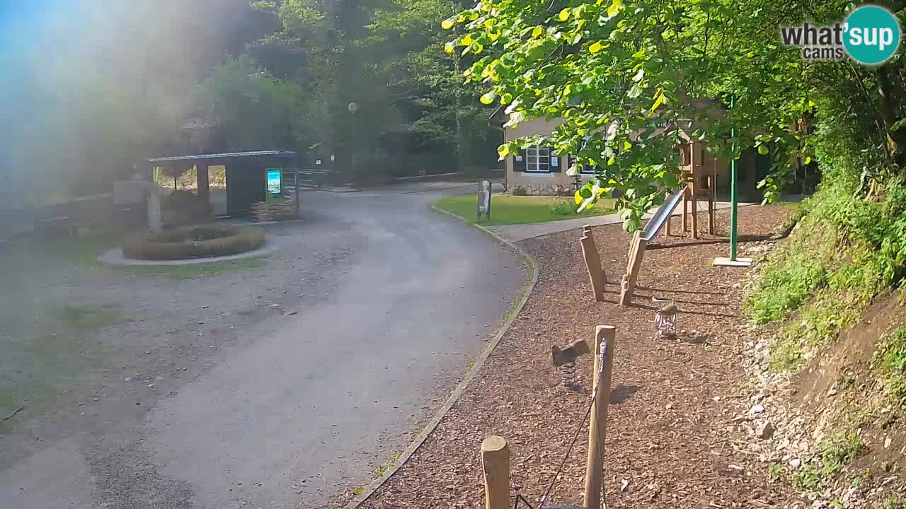 Skrad livecam Zeleni Vir