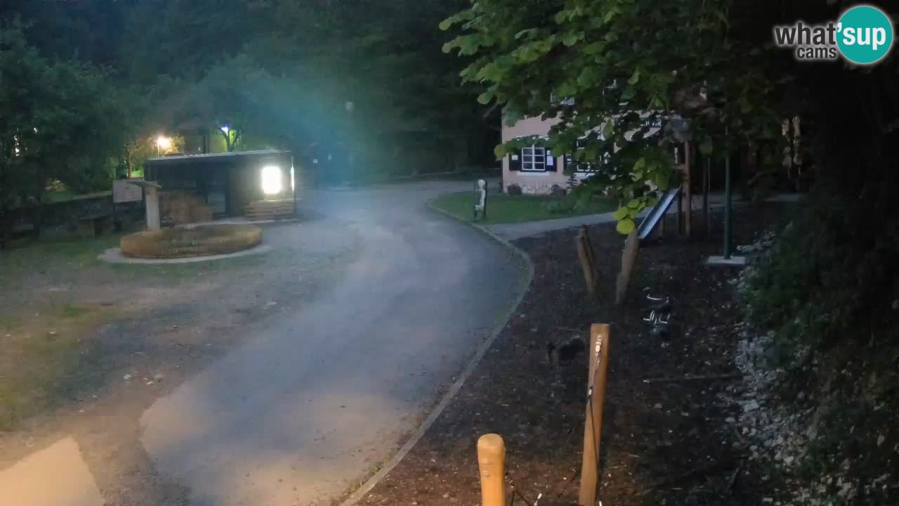 Skrad webcam Zeleni Vir