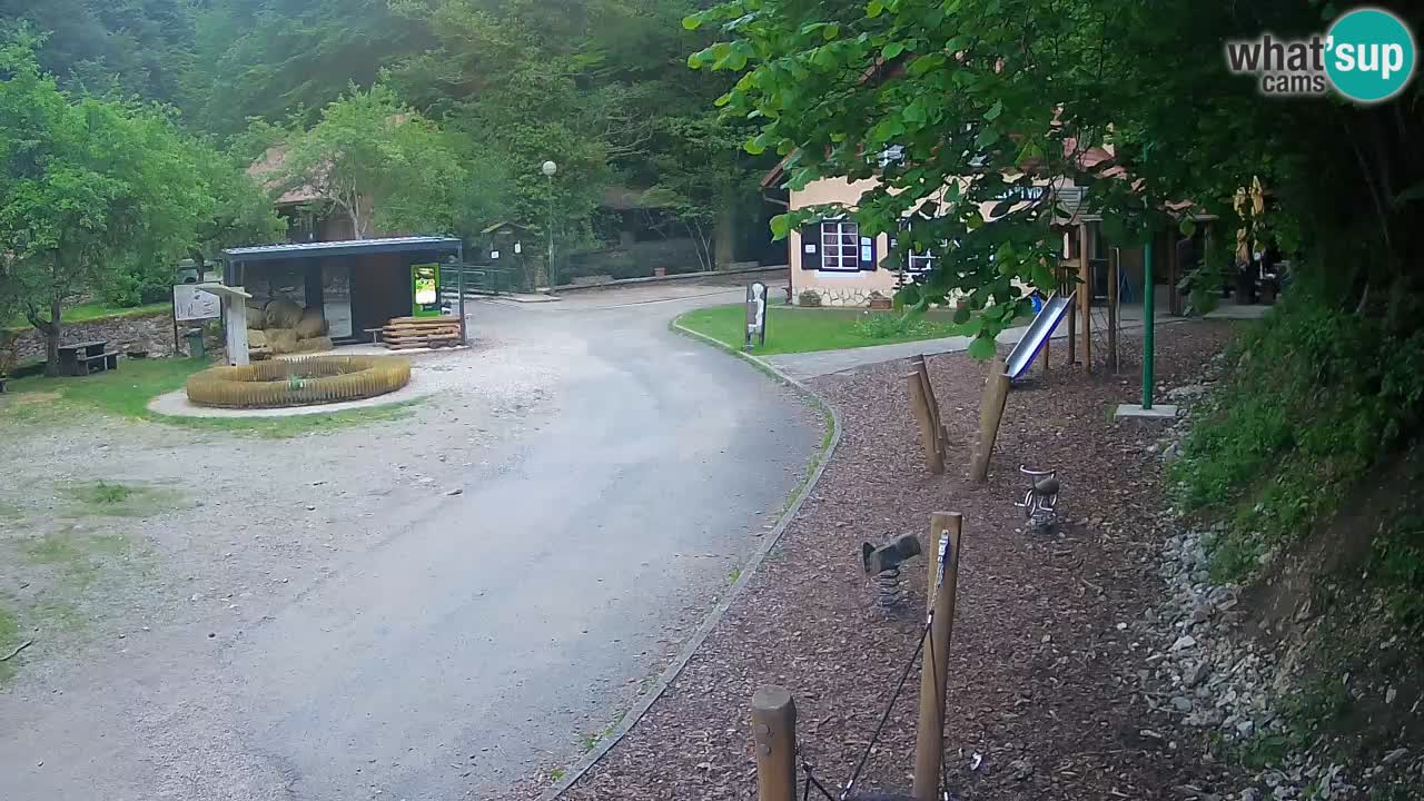 Skrad webcam Zeleni Vir