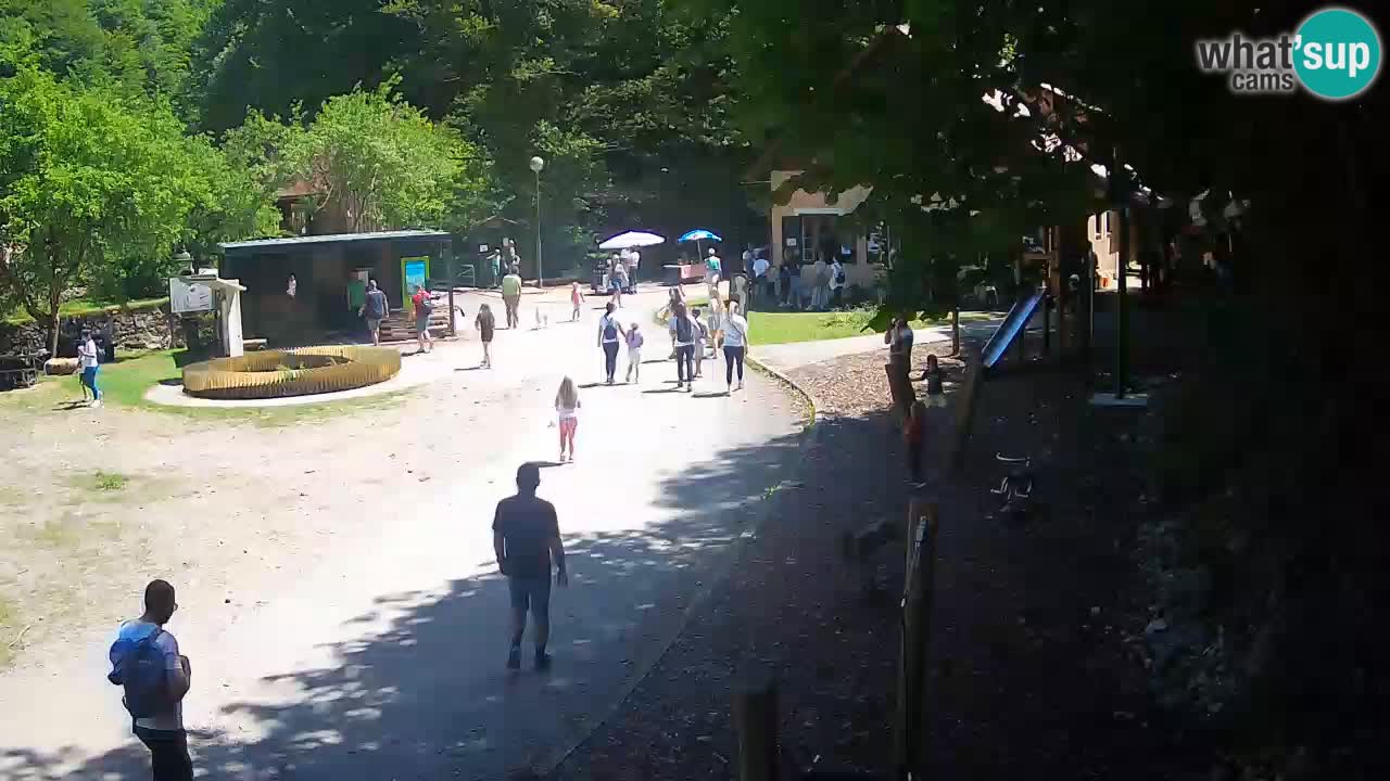 Skrad webcam Zeleni Vir