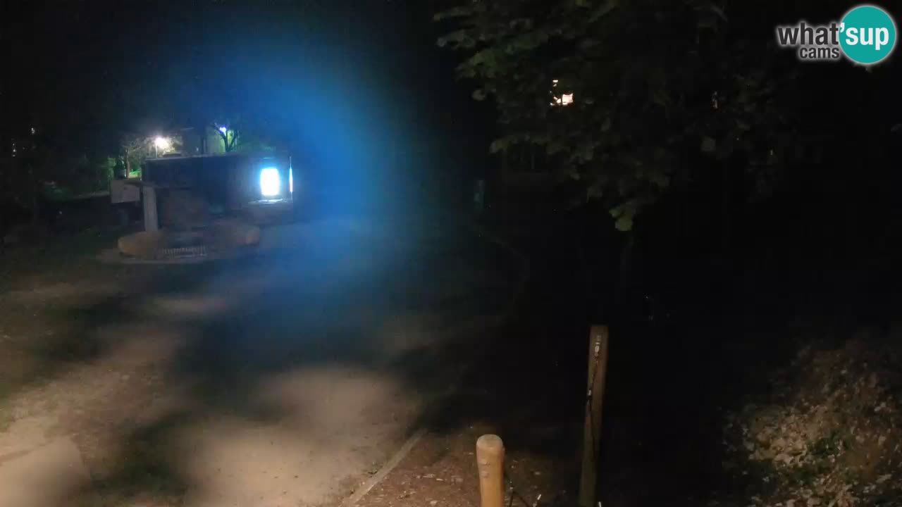 Skrad webcam Zeleni Vir