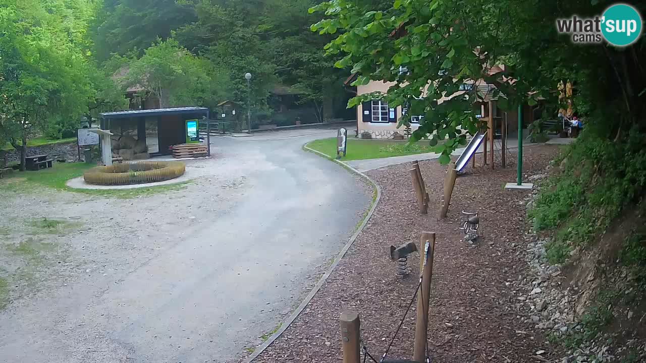 Skrad webcam Zeleni Vir