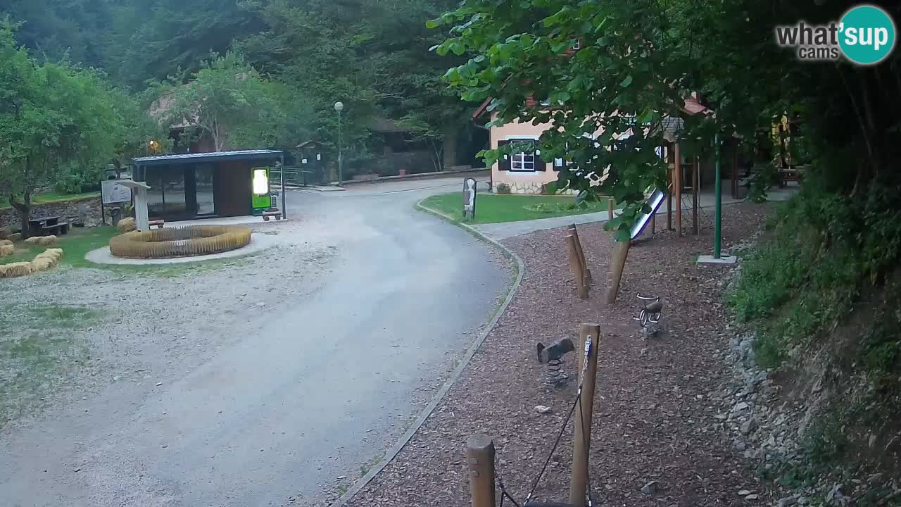 Skrad webcam Zeleni Vir