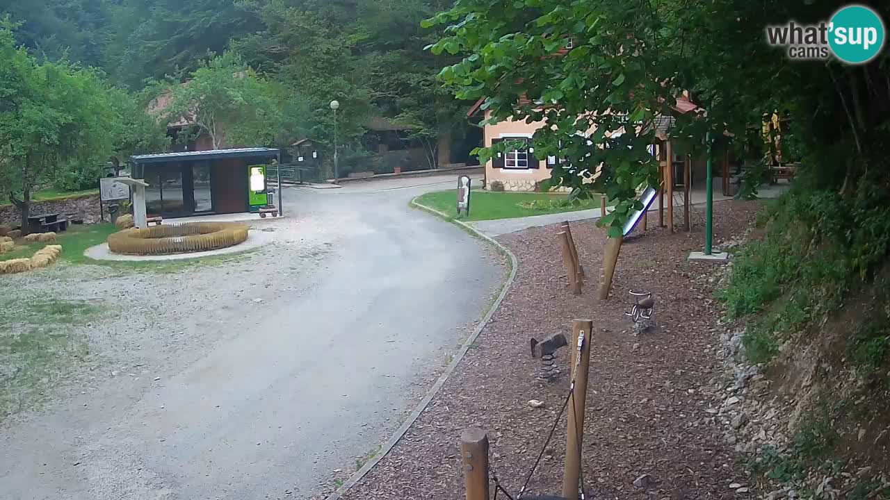 Skrad webcam Zeleni Vir