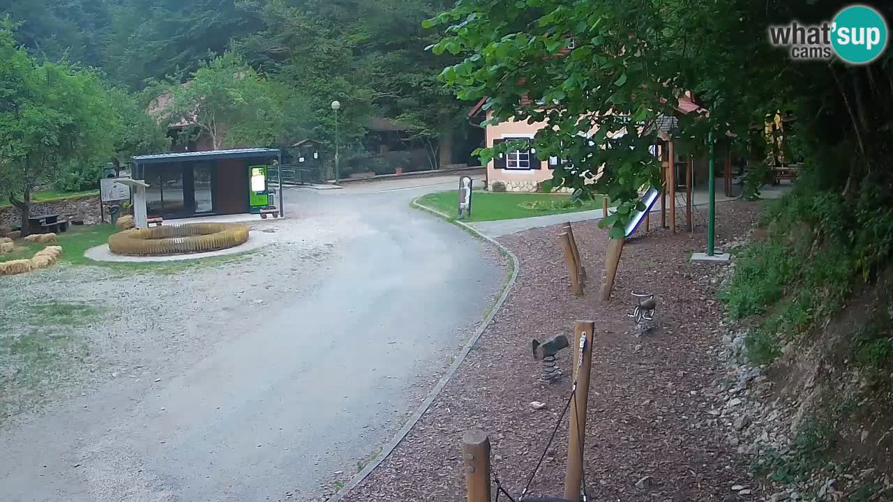 Skrad webcam Zeleni Vir