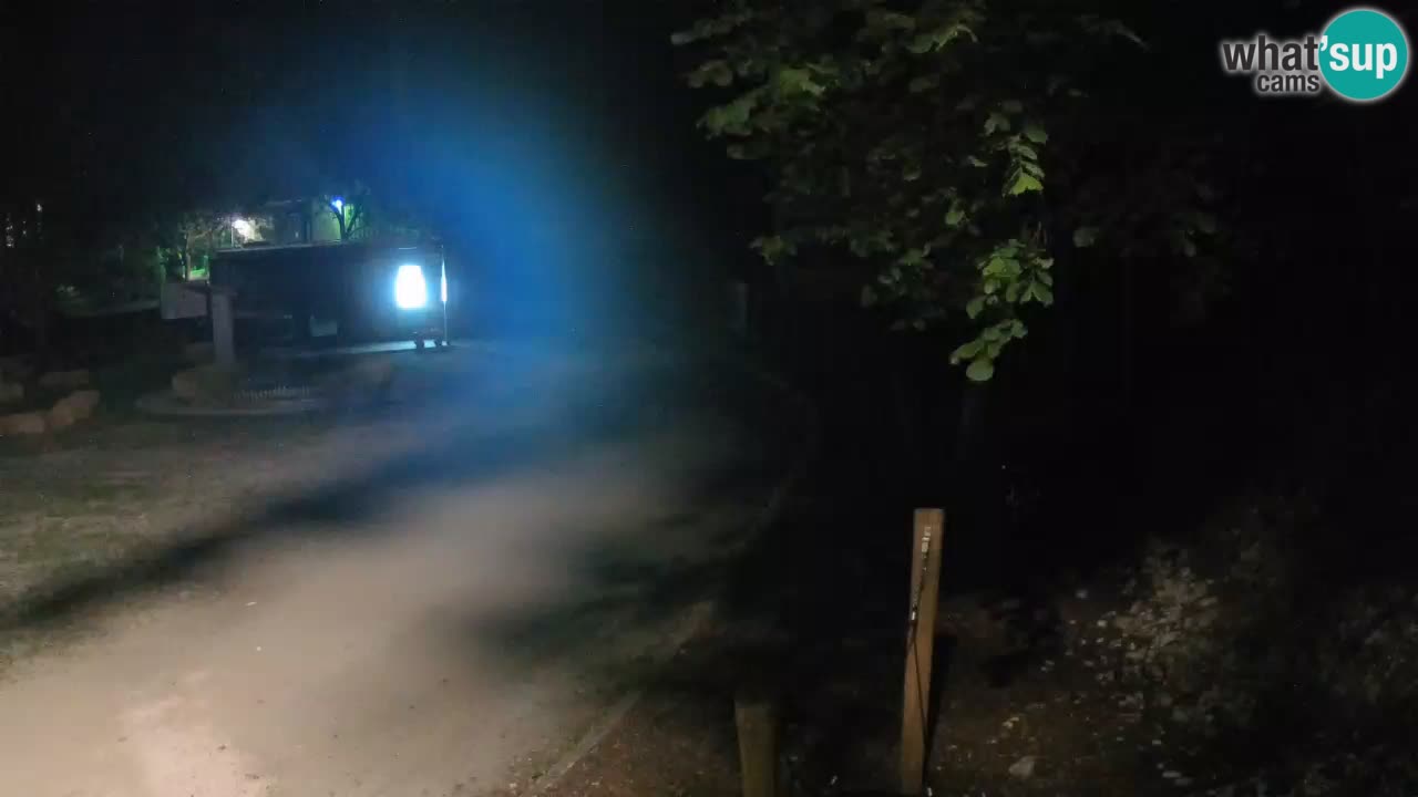 Skrad webcam Zeleni Vir