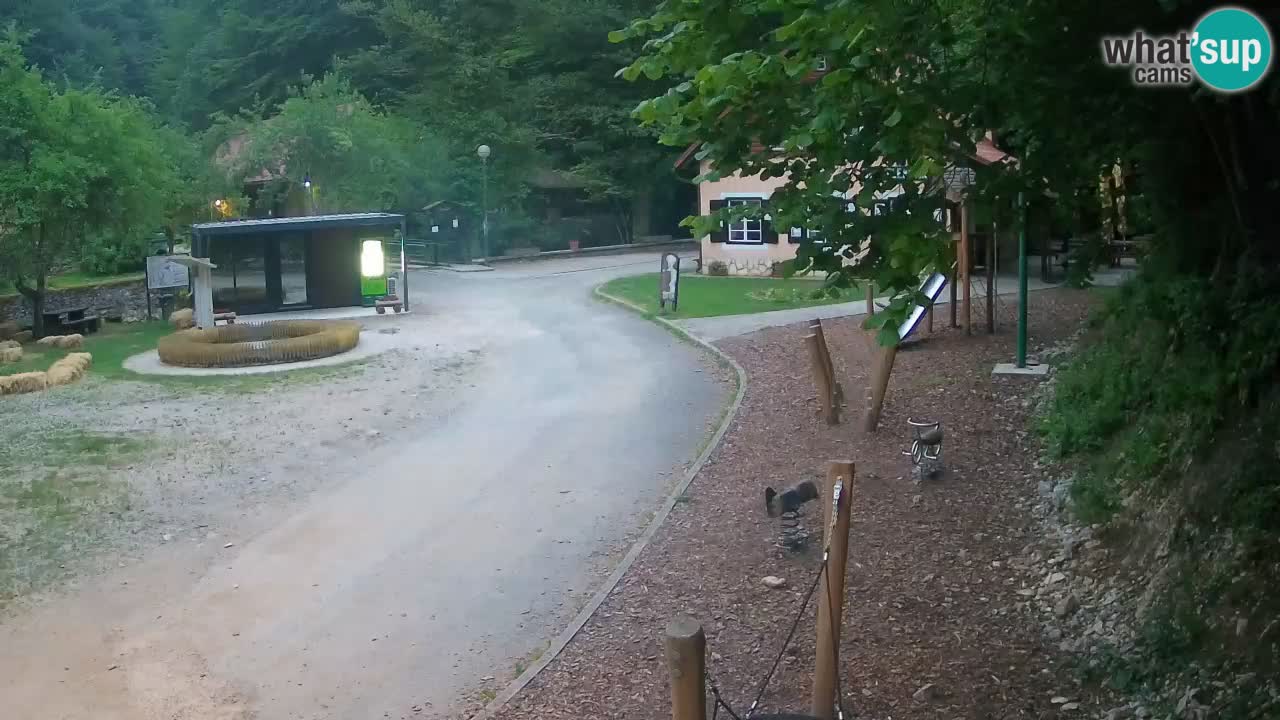 Skrad Livecam Zeleni Vir
