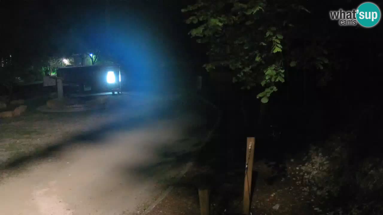 Skrad webcam Zeleni Vir