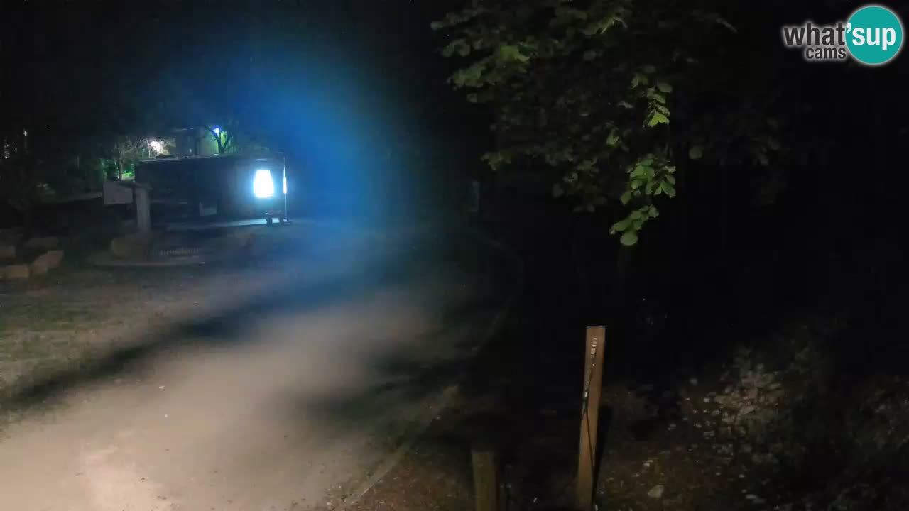 Skrad webcam Zeleni Vir