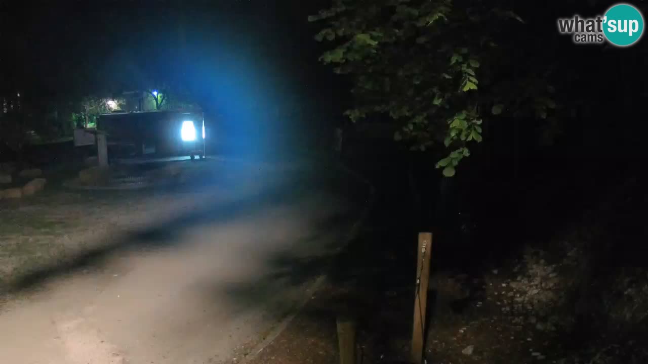 Skrad Livecam Zeleni Vir