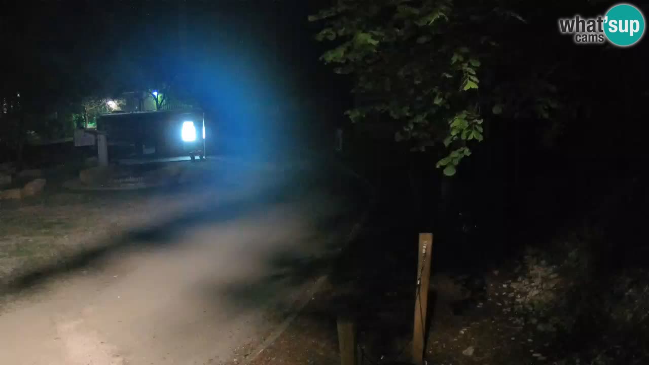 Skrad Livecam Zeleni Vir