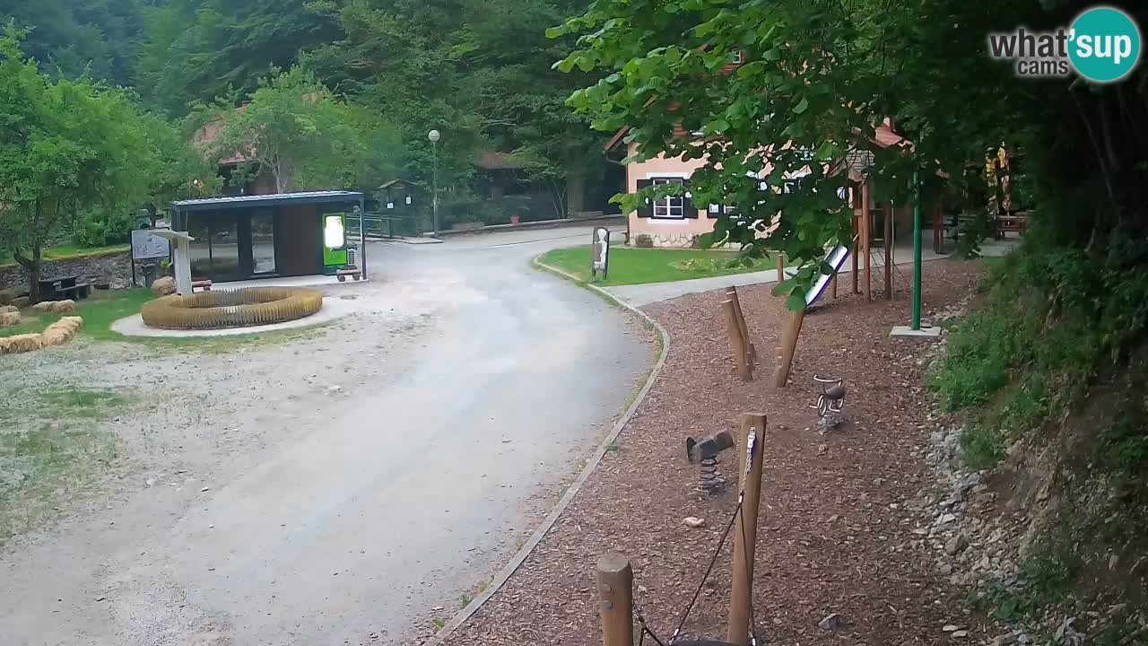 Skrad livecam Zeleni Vir