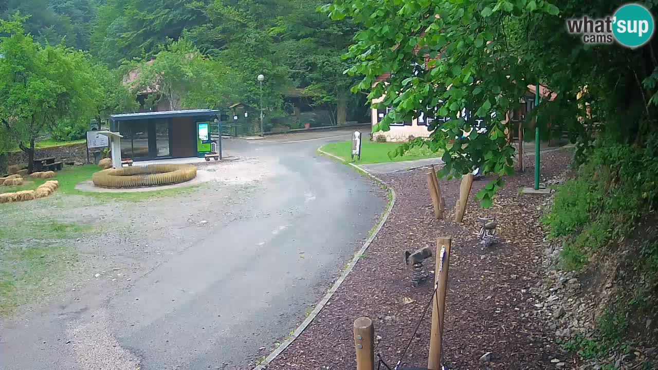 Skrad webcam Zeleni Vir