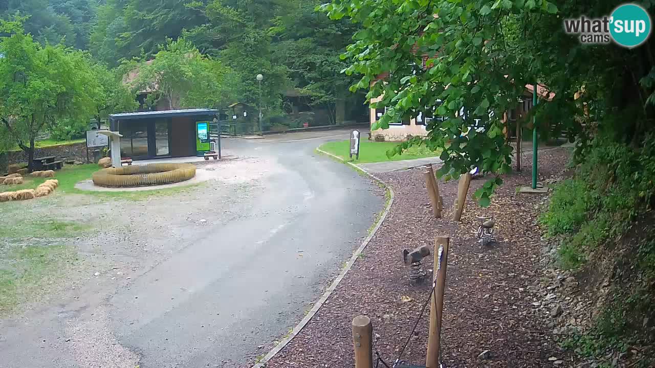 Skrad livecam Zeleni Vir