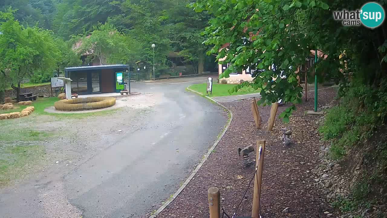 Skrad webcam Zeleni Vir