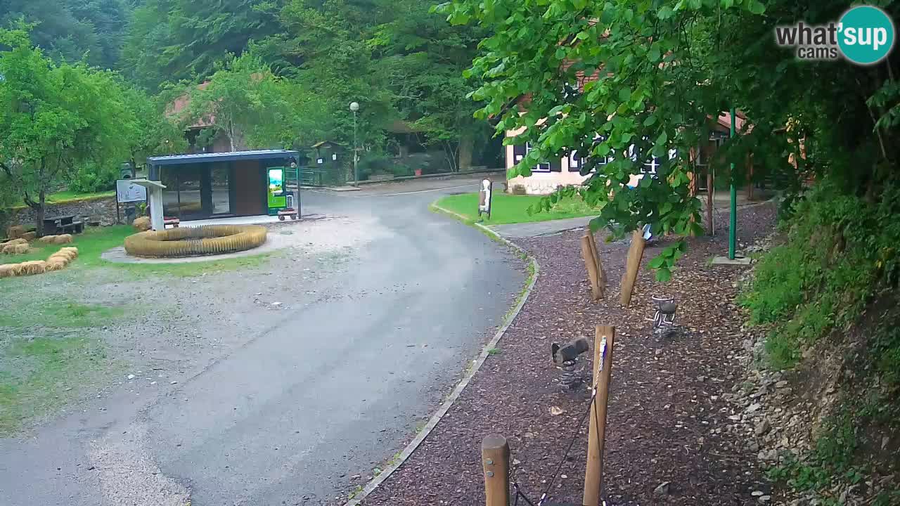Skrad livecam Zeleni Vir