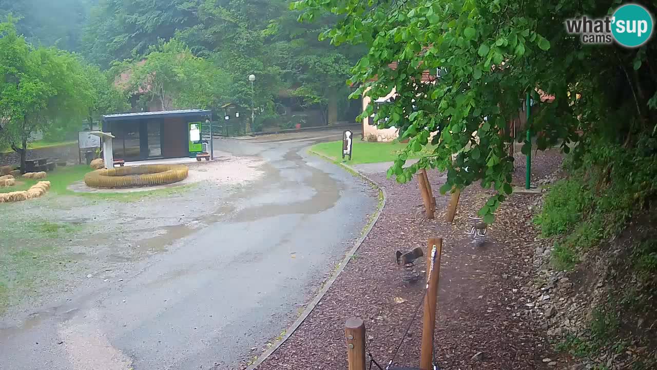 Skrad livecam Zeleni Vir