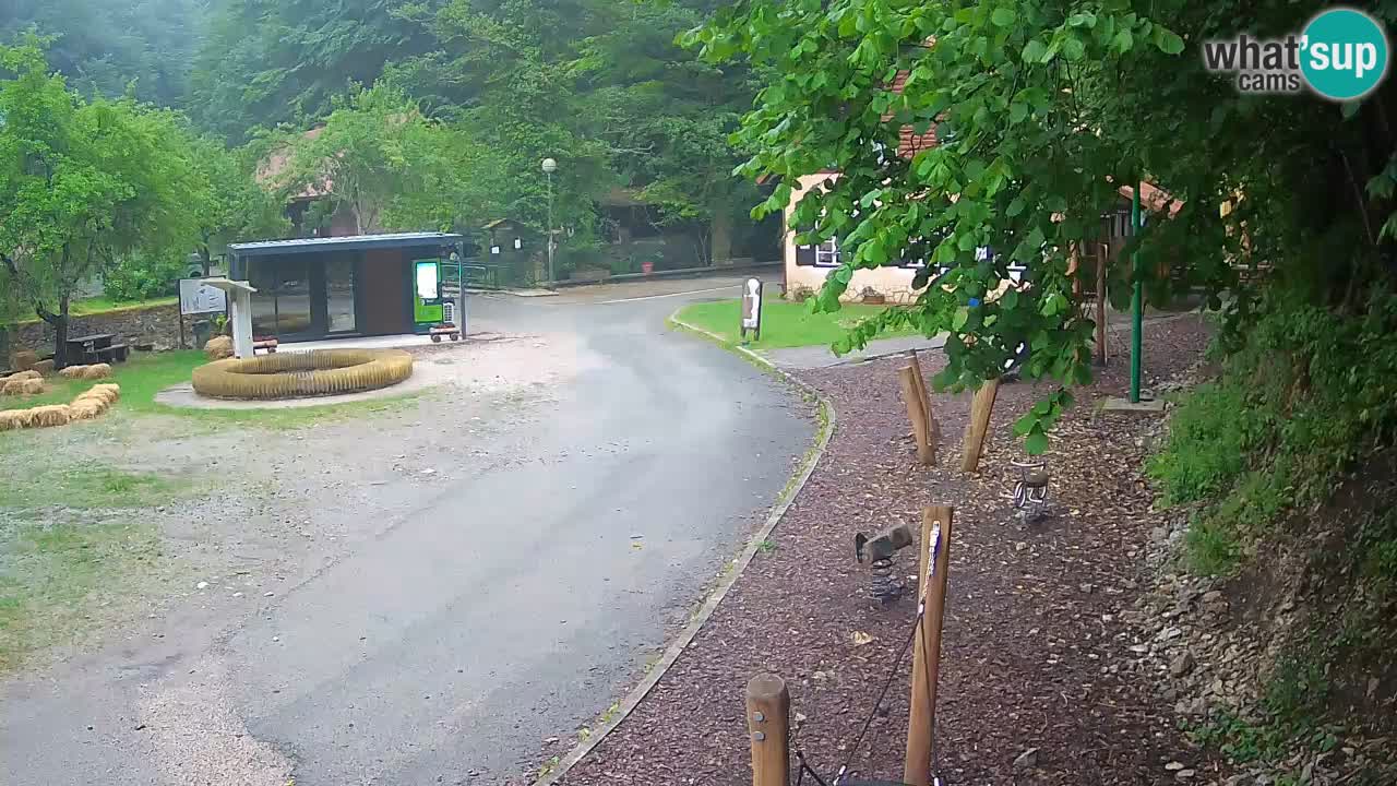 Skrad webcam Zeleni Vir