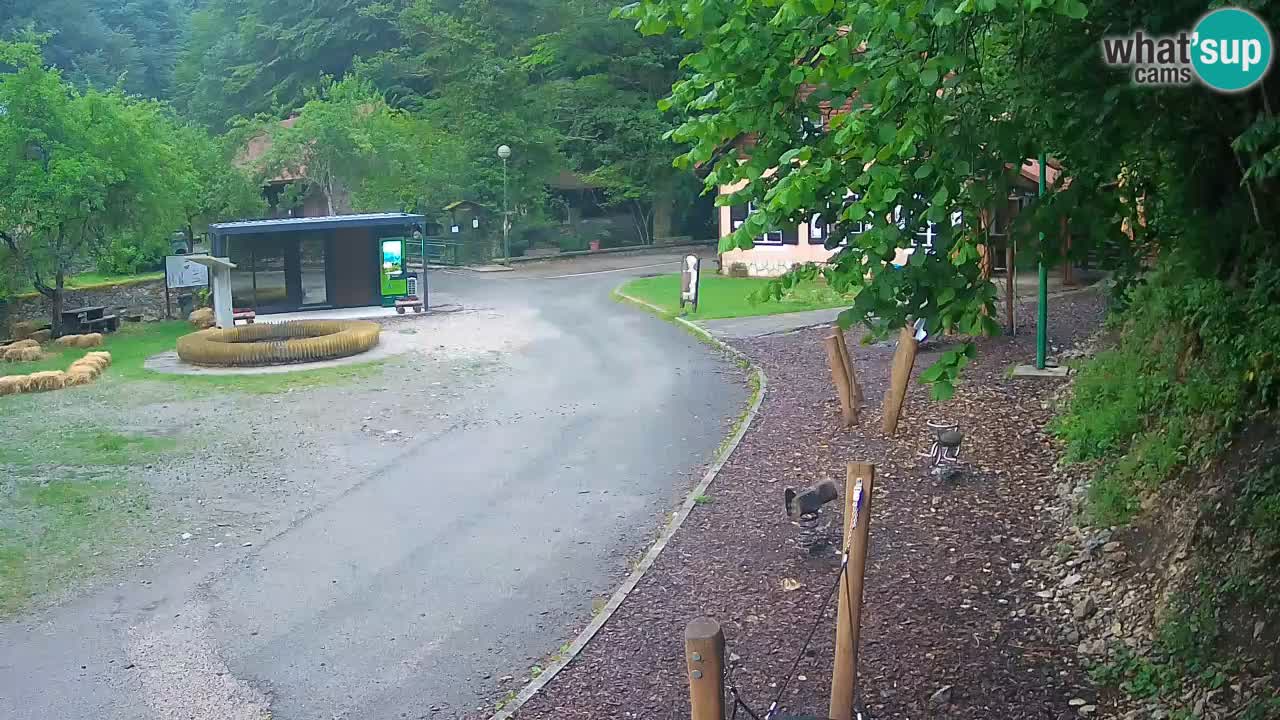 Skrad webcam Zeleni Vir