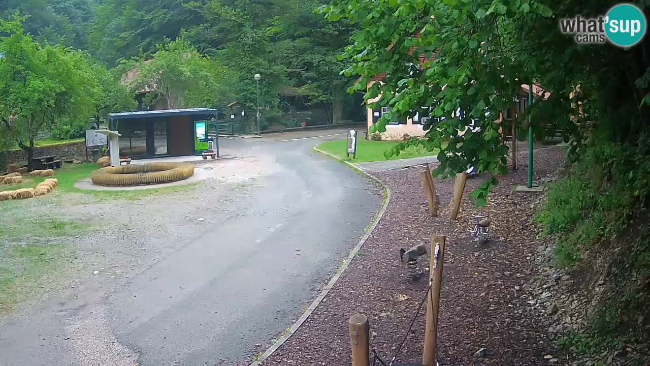 Skrad Livecam Zeleni Vir