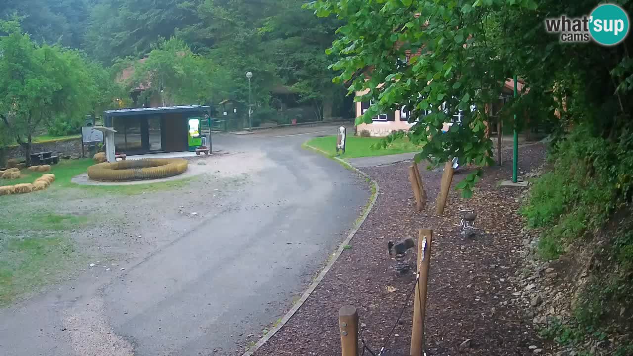 Skrad webcam Zeleni Vir
