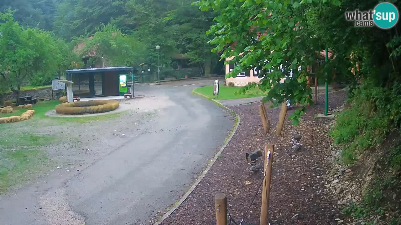 Skrad livecam Zeleni Vir