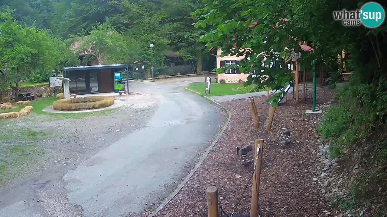 Skrad Livecam Zeleni Vir