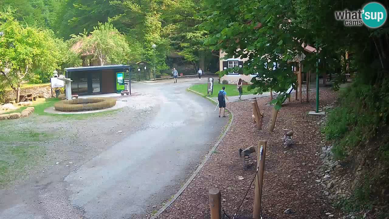 Skrad livecam Zeleni Vir