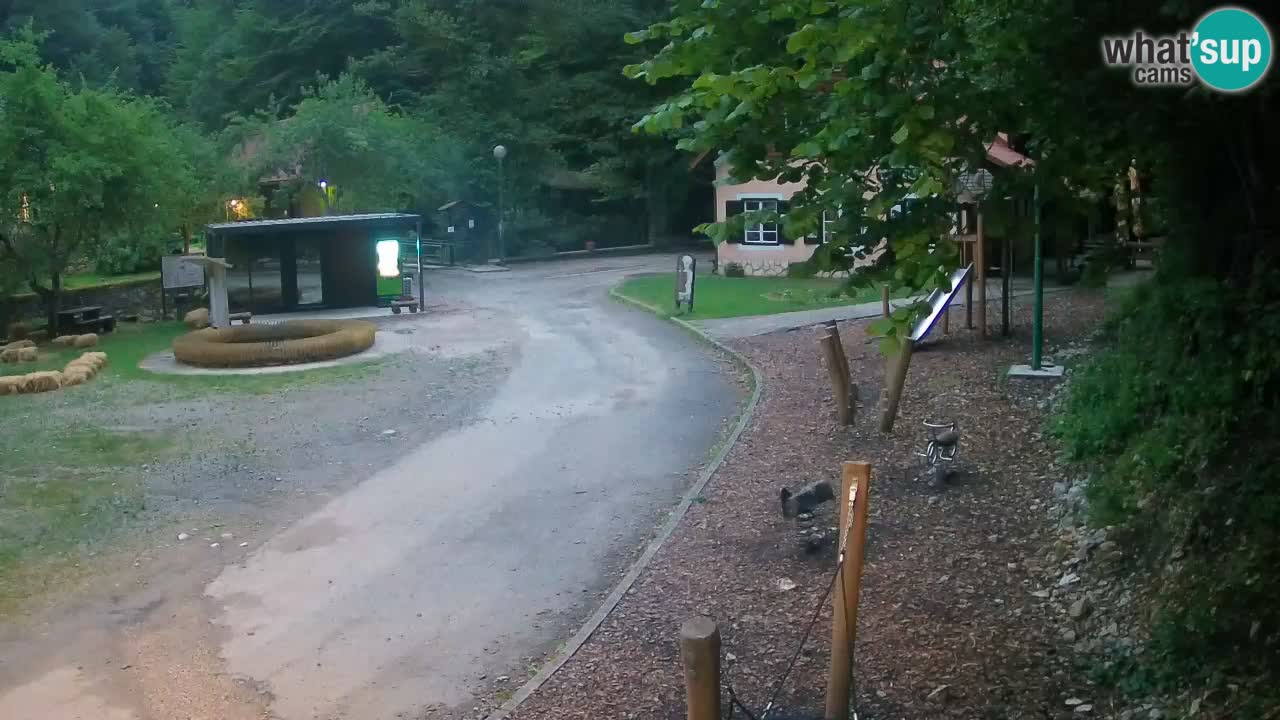 Skrad Livecam Zeleni Vir