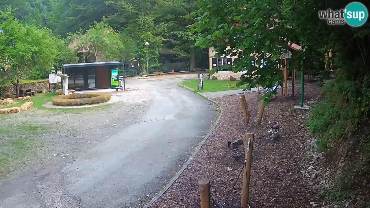 Skrad live cam Zeleni Vir