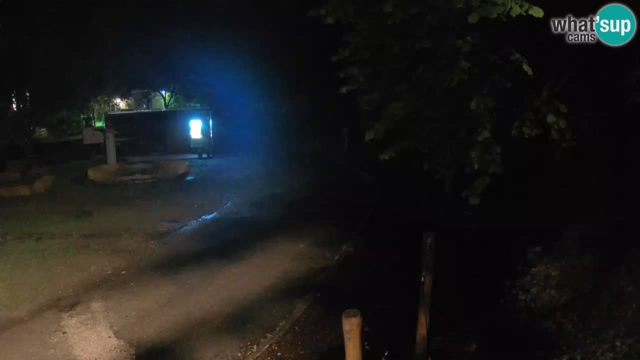 Skrad web kamera Zeleni Vir