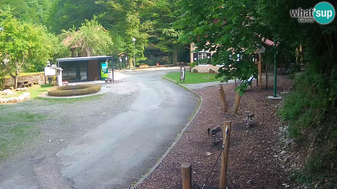 Skrad webcam Zeleni Vir